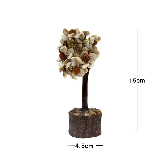 Gomti Chakra Rudraksha Tree