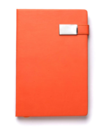 APastro Divine Siddhi Diary
