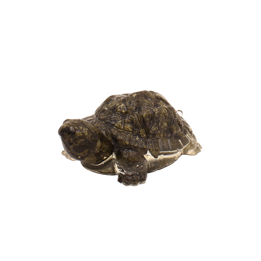 Vastu Pyrite Tortoise