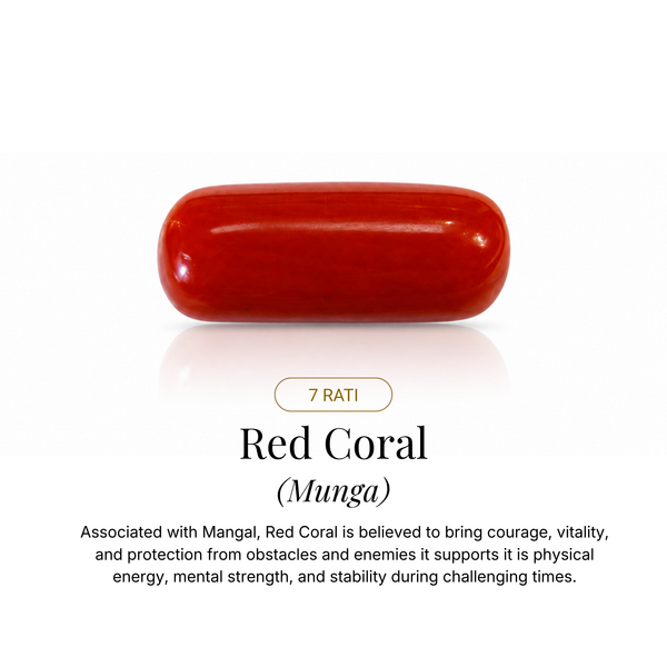 Red Coral (Munga) 7 Rati