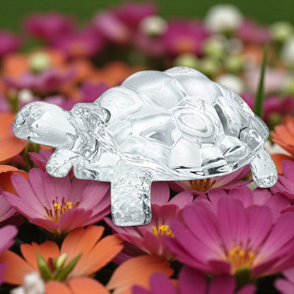 Crystal Tortoise
