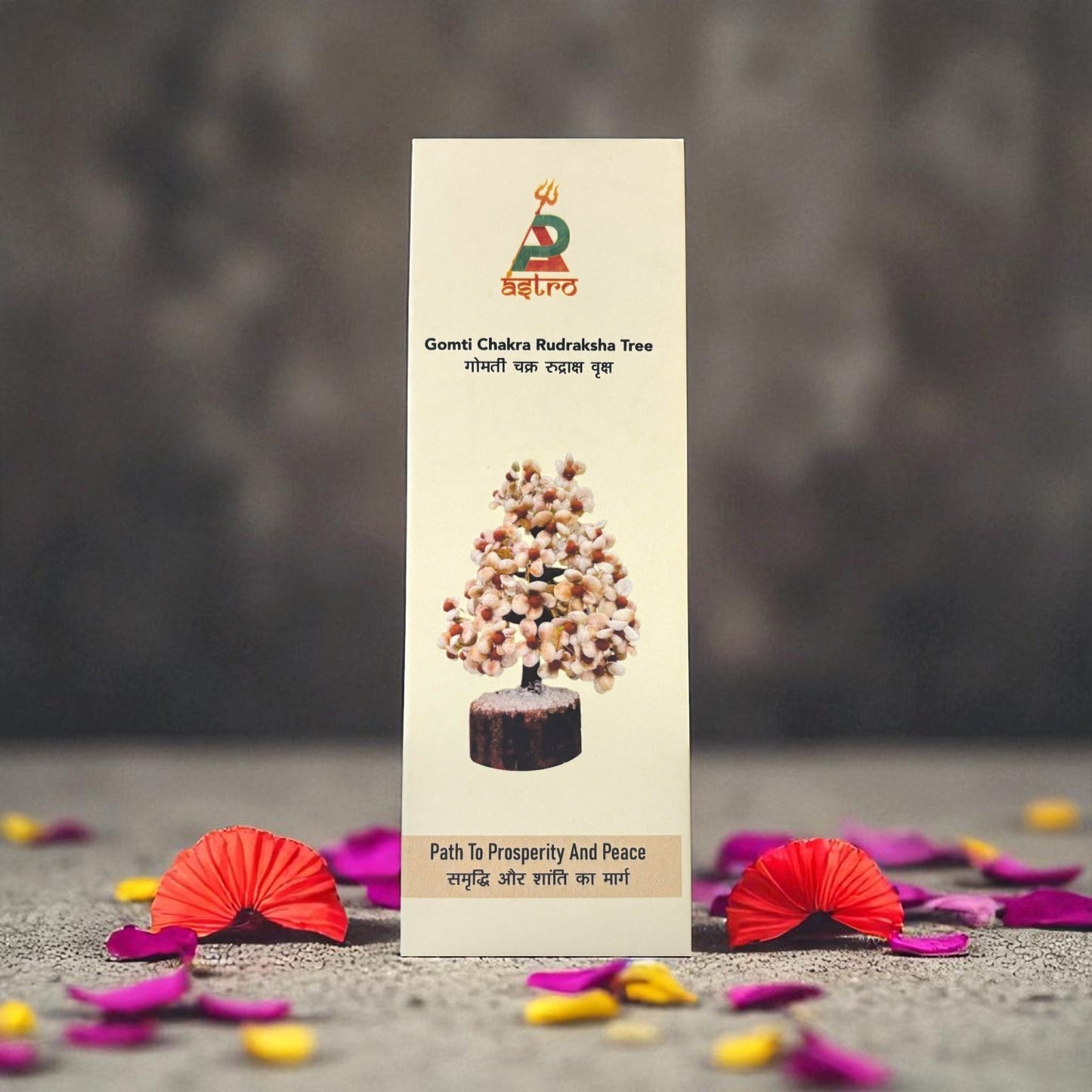 Gomti Chakra Rudraksha Tree
