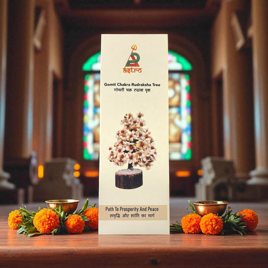 Gomti Chakra Rudraksha Tree