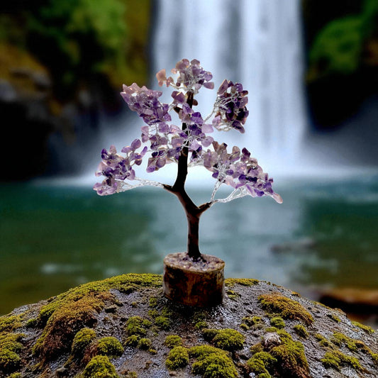 Amethyst Crystal Tree